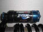fox3.JPG