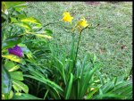 IMG_0781.JPG