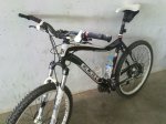 11052011266.jpg