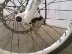 11052011265.jpg