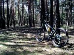 10052011601.jpg