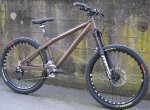 Gallery_VagrantBrown1.jpg