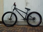 1193121_dino_bike_2.JPG