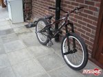 pbpic1109358.jpg