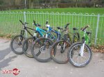 pbpic1121498.jpg