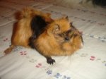 DSC07589.JPG