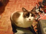 DSC00178.JPG