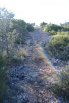 DSCF0010.JPG