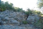 DSCF0006.JPG