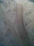 IMG00138-20110509-2031.jpg