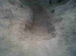IMG00140-20110509-2033.jpg