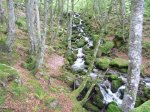P1040882_800x600.jpg