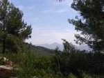 IMGP1145.JPG