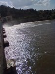 medinense96.jpg