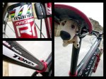bici_dieta_5.jpg