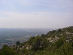P1020017.JPG