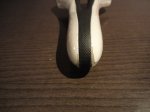DSC00651.JPG