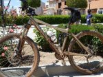 Canyon Nerver XC 6.0 dorada 02.jpg