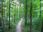 Foto02.JPG