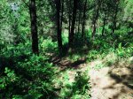 2011-05-14 16.24.56.JPG