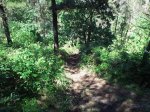 2011-05-14 16.27.00.JPG