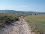 DSCF9073 [YECLA].JPG