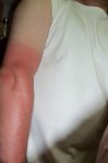 100_0620.jpg