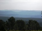 P1014202.JPG