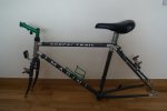 DSC07095.jpg