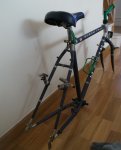 DSC07100.jpg