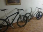 movil 0693.jpg