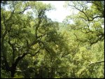 PICT0073.jpg