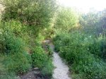 DSC00179.JPG