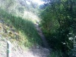 DSC00181.JPG