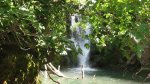 IMG_5975.jpg