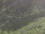Kdd 2011 032.jpg