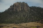 DSC_8518.JPG