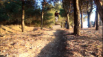 salto de video.png