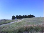 DSC00765.jpg