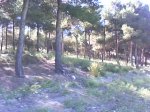 DSC00770.jpg