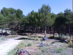 DSC00772.jpg