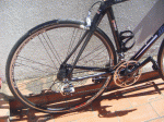 Massi7.gif