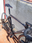 Massi8.gif
