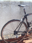 Massi3.gif