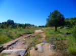 Foto8.JPG