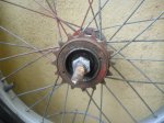 pi&#241;on bici ni&#241;o peque&#241;o.JPG