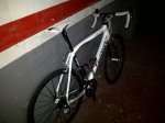 FOROWILIER3.jpg