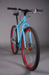 pereria-cycles-erics-29er-9.jpg
