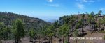 Panorama 6.JPG