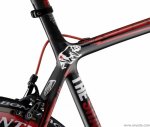 11TK_Shack_Fairey_Madone_D01_a.jpg